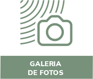 galeria-fotos